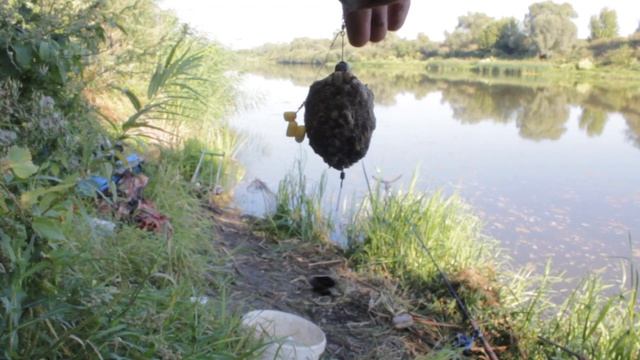 Рыбалка на карася на Дону. Рыбалка с ночёвкой в Воронежской области. смотреть онлайн