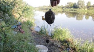 Рыбалка на карася на Дону. Рыбалка с ночёвкой в Воронежской области.