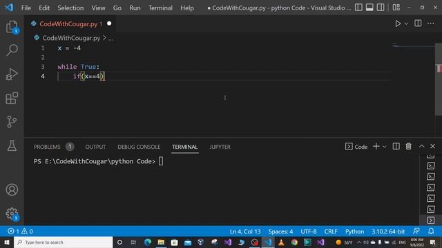 Coding | Programming Quiz 9: While loop and break statement смотреть онлайн