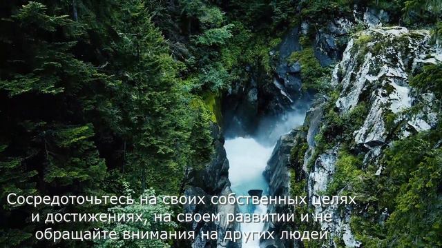Достичь успеха и преодолеть беспокойство