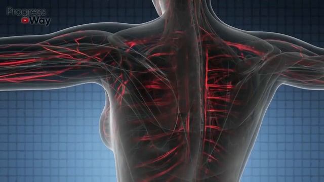 ПОЛЬЗА ЯБЛОЧНОГО УКСУСА смотреть онлайн