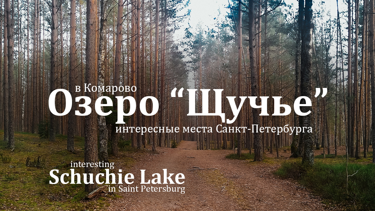 Поход выходного дня в окрестностях Питера. Озеро Щучье в Комарово.