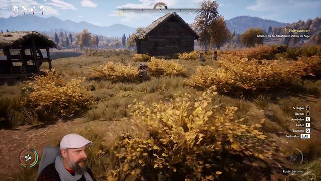 Medieval Dynasty 2023 🏹 009: Budzi? Wir sind verliebt! смотреть онлайн