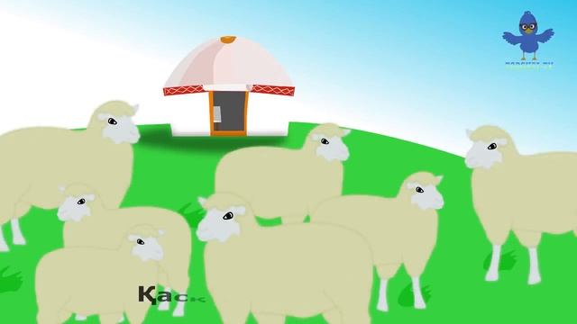 Куыр куыр Куырмаш торгай тв