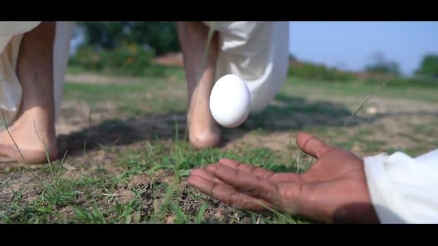 मुर्गा VS मुर्गी Fight || Comedy Video || The Comedy Kingdom смотреть онлайн