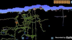 Как найти бутон Плантеры за 1МИНУТУ террария 1.4   (не клик бейт)