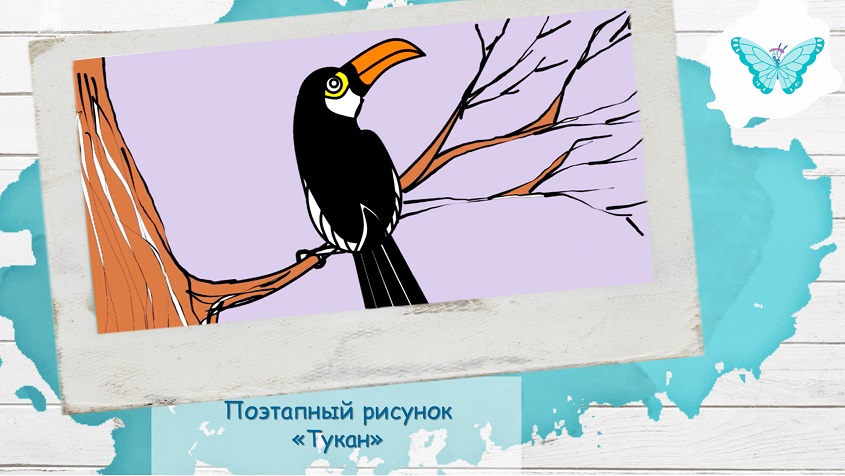 Поэтапный рисунок «Тукан» смотреть онлайн