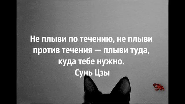 Разминка для ума в картинках смотреть онлайн