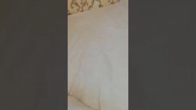 Отзыв о матрасе Dimax Мега Лайт Базис 160*200 и магазине «Анатомия сна» смотреть онлайн