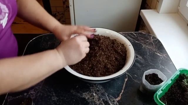 ?Пикировка виолы. Почему так рано? ?Покупки в Леруа Мерлен. ?