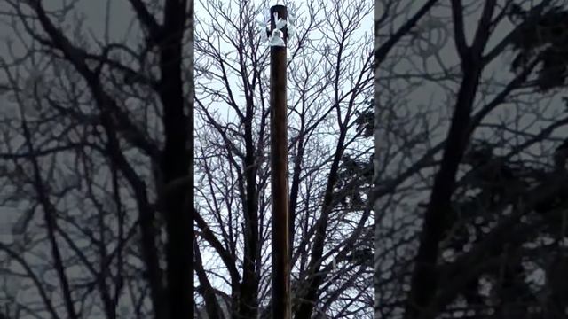 Масленица в Дебальцево 18.02.2018 г. смотреть онлайн