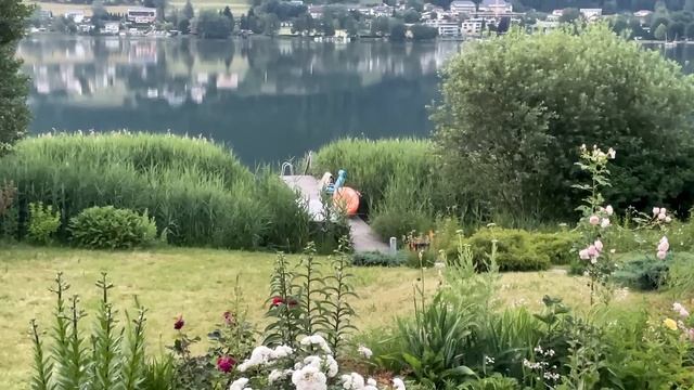 Коты ловят мышей, а мы котов смотреть онлайн
