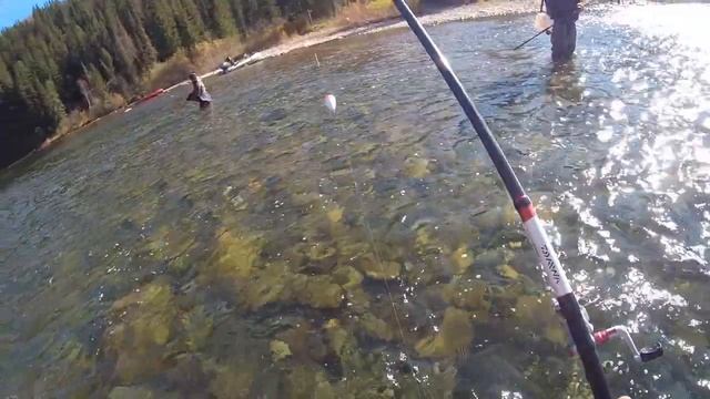 Отдых на природе с ДРУЗЬЯМИ!!! Супер рыбалка на ХАРИУСА!!! Отличный КЛЁВ крупного ХАРИУСА!!!Трейлер смотреть онлайн