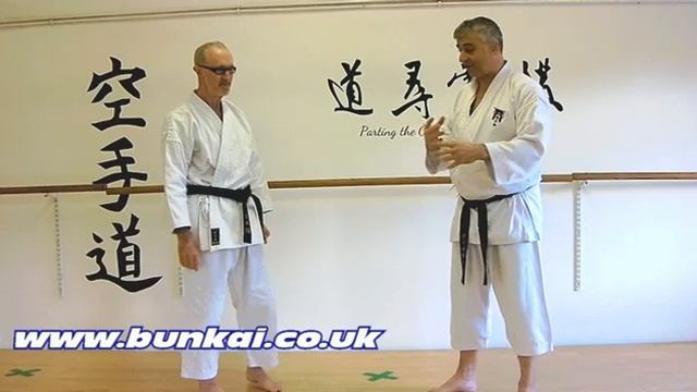 Heian Nidan Bunkai Strategies 2020 week 44 koryu karate oyo jutsu смотреть онлайн