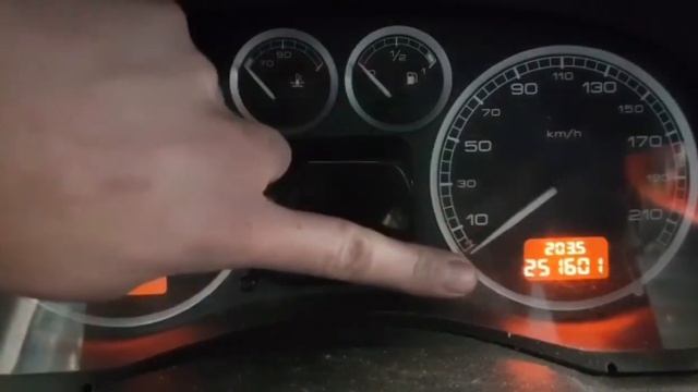 Service reset Peugeot 307 (Dutch) смотреть онлайн