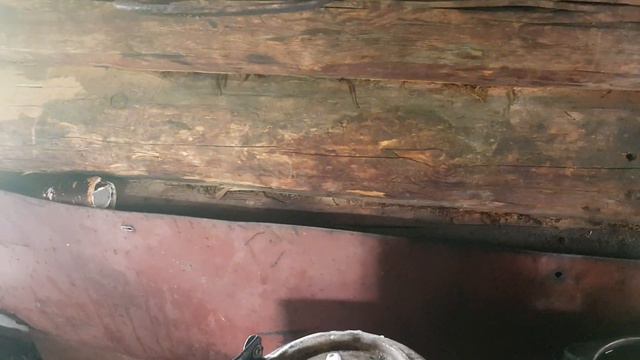 Остановились на отдых и обед на пути к Белухе смотреть онлайн