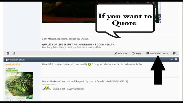 Reptile Parrots forum смотреть онлайн