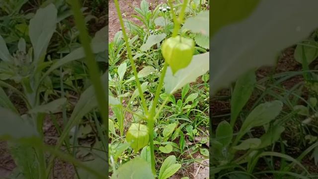 22 March 2023 смотреть онлайн