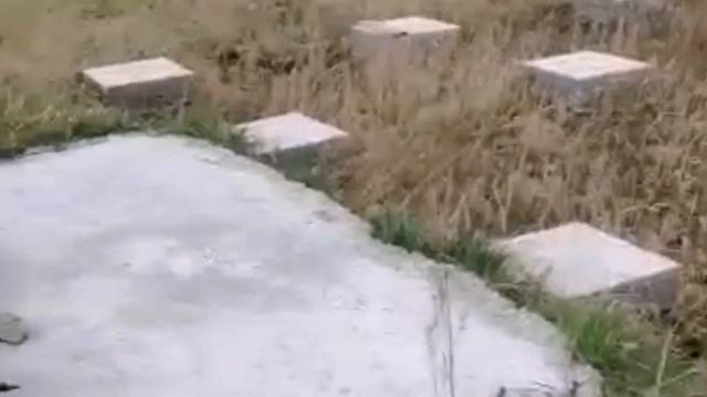 Чья ошибка, несовпадение кадастровой схемы. смотреть онлайн