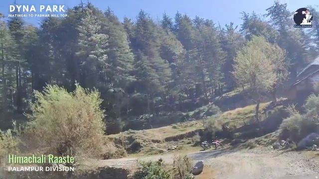 Dyna Park: Himachali Raaste #dynapark #himachal #mustvisitplaces смотреть онлайн