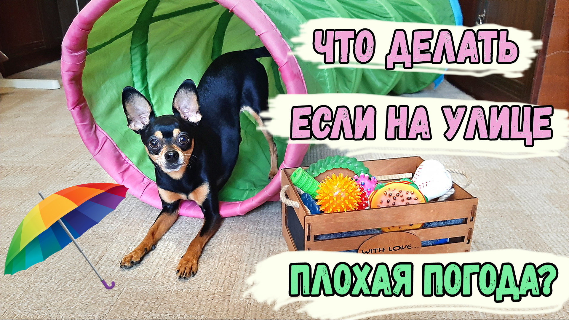 Как играть с собакой дома или как учить команды в игровой форме смотреть онлайн