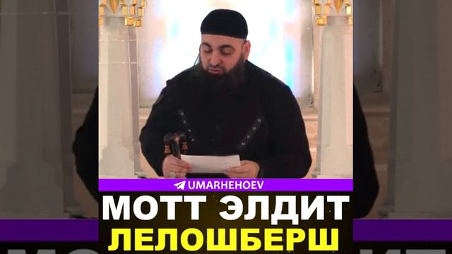 УМАР ХЕХОЕВ МОТТ ЭЛДИТ ЛЕЛОШБЕРШ ХЬЕХАМ смотреть онлайн