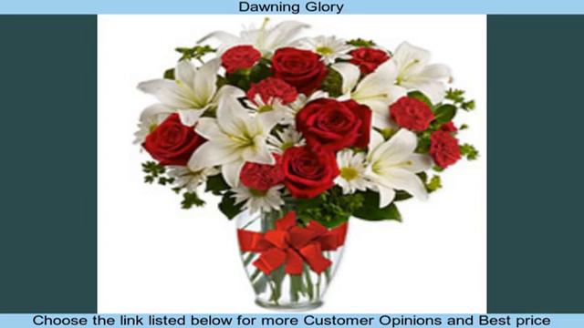 Dawning Glory смотреть онлайн