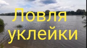 Ловля уклейки