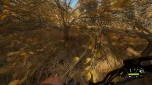 theHunter Call of the Wild #9 ? - Охота с Луком - ГАЙД для Начинающих