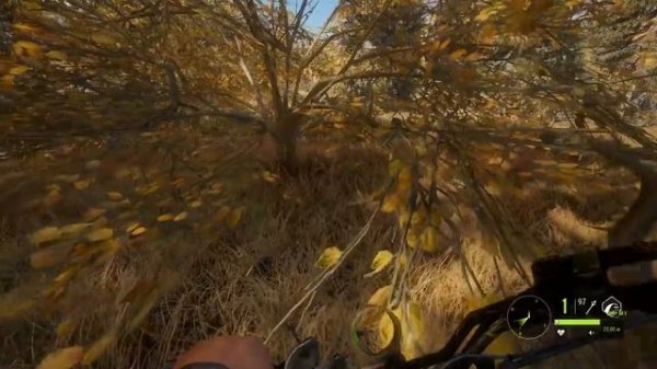 theHunter Call of the Wild #9 ? - Охота с Луком - ГАЙД для Начинающих