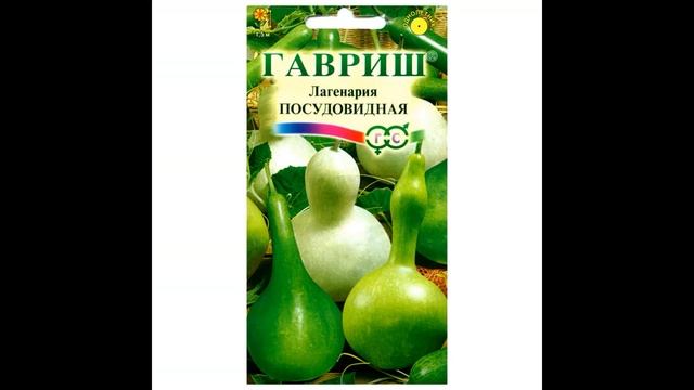 Тыквы. Декоративные и съедобные тыквы,сорта тыкв смотреть онлайн