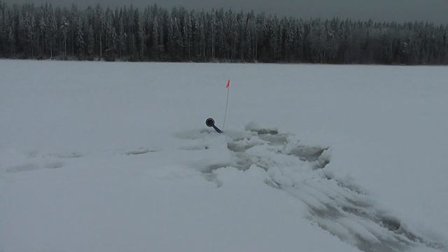Рыбалка в Ленобласти #12 Оз.Глубокое смотреть онлайн