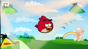 Wrong Heads ANGRY BIRDS Funny Video For Kids Finger Family Songs