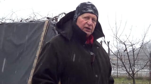 Фрося и Ника - конфликтующие кошки