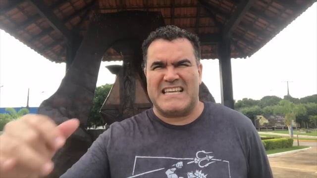 Quem viu vai gostar de rever o gol de Ranielli contra o São Paulo na Vila смотреть онлайн