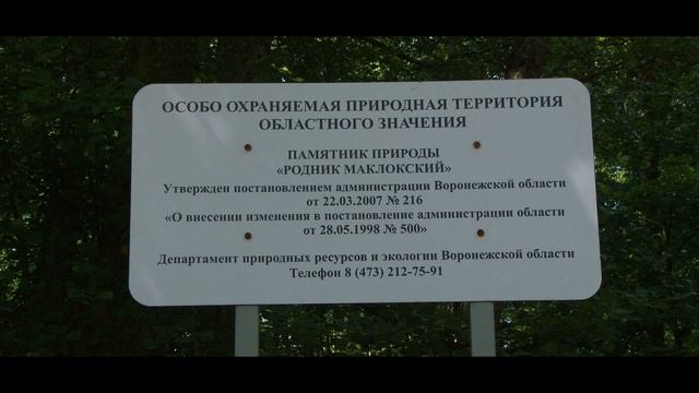 Мой первый велопоход по Воронежской области смотреть онлайн