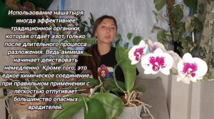Вы Удивитесь как ШИКАРНО от ЭТОГО ДЕШЕВОГО средства Заколосятся ОРХИДЕИ
