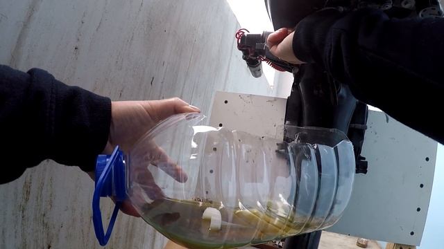 Замена масла Suzuki 5 л с  4 такта