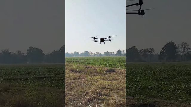 20ไร่ จัดไป พ่นฮอร์โมนถั่วเขียว รอบที่ 2 ของแปลงนี้ โดรนเกษตร T20P #โดรน #dji #ถั่วเขียว смотреть онлайн
