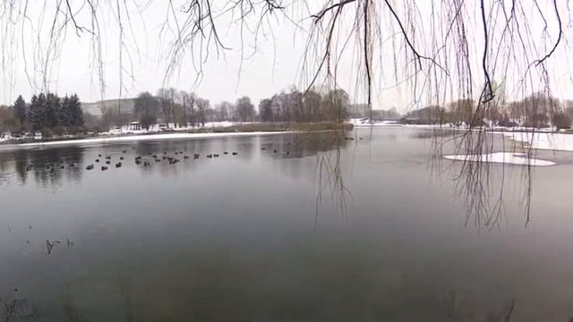 Пока виноград спит-открываем лыжный сезон!Вместе с ПРИРОДОЙ!!! #зима #лыжи #natureinwinter #природа смотреть онлайн