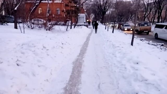 Хабаровск тратуар по улице Пушкина смотреть онлайн