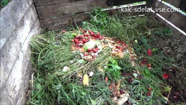 Биогумус в домашних условиях. смотреть онлайн