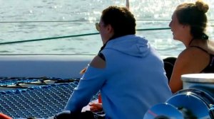 Морская прогулка на Мадейре с наблюдением за дельфинами и китами.