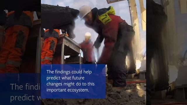 ChAOS Project on World Water Day 2018 смотреть онлайн
