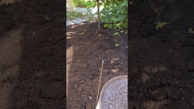 Заземление в частном доме самостоятельно смотреть онлайн