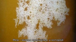 Должен ли мед засахариваться