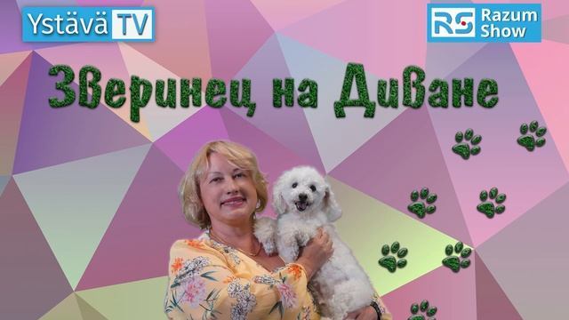 Террариумные экзотические животные - лягушки. смотреть онлайн