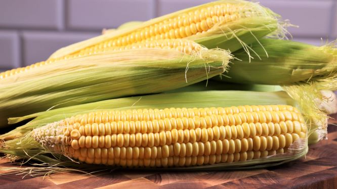 Продавец кукурузы на пляже научил её правильно готовить! 3 рецепта кукурузы смотреть онлайн