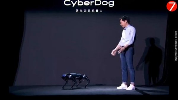 Презентация нового четвероногого робота CyberDog от компании Xiaomi.