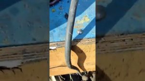 дровокольная линия   делалась под заказ  брату на 50 см бревна   продаю   за 450 тр такаеже  850 тр